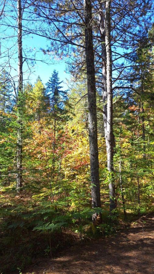 Les Chalets Double K # 1 Saint-Alexis-des-Monts Buitenkant foto